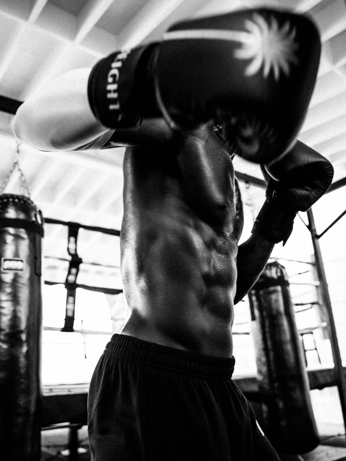 Palm Heights Signature Boxing Gloves