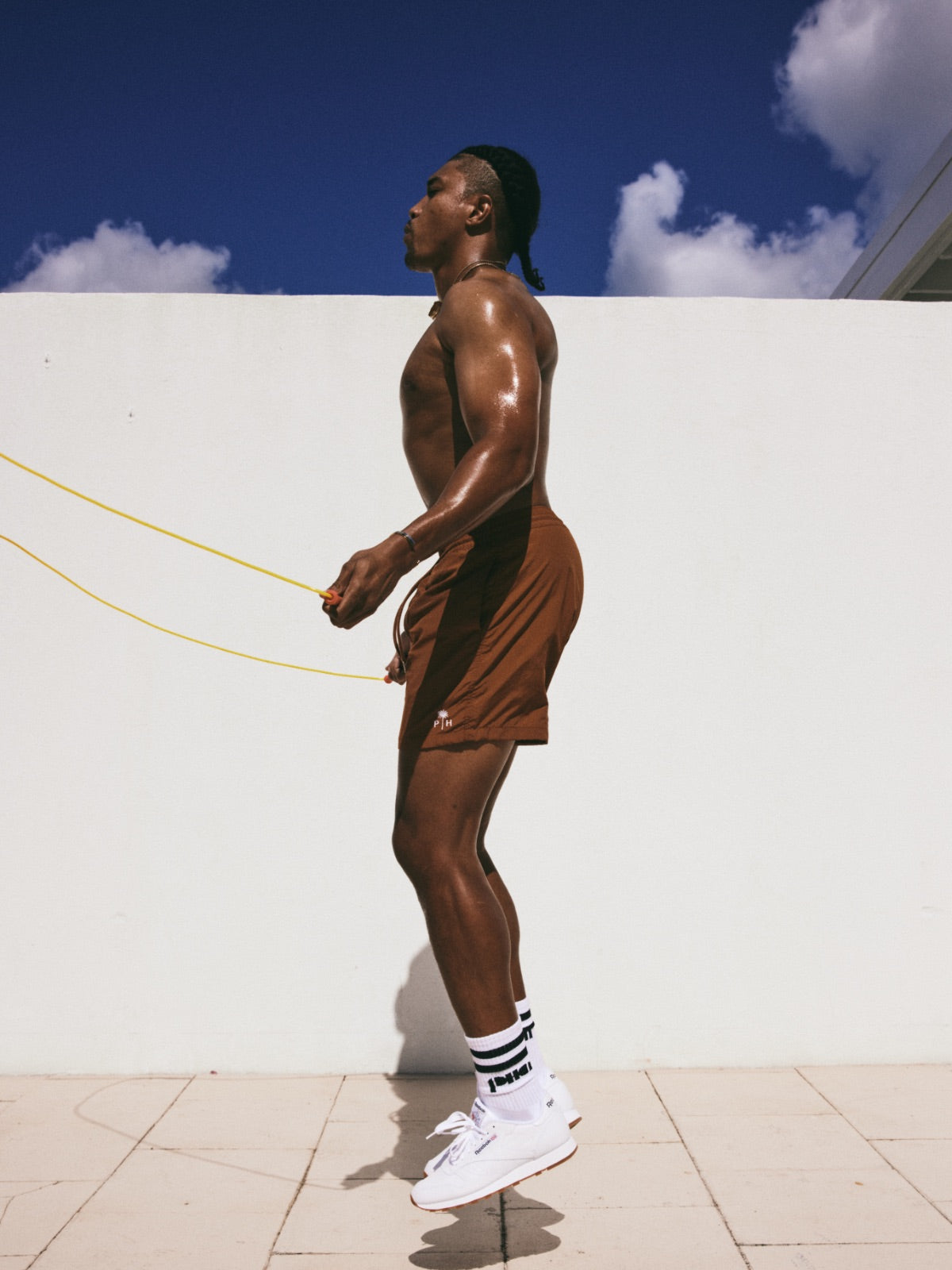 swimshorts Palm Heighs brown