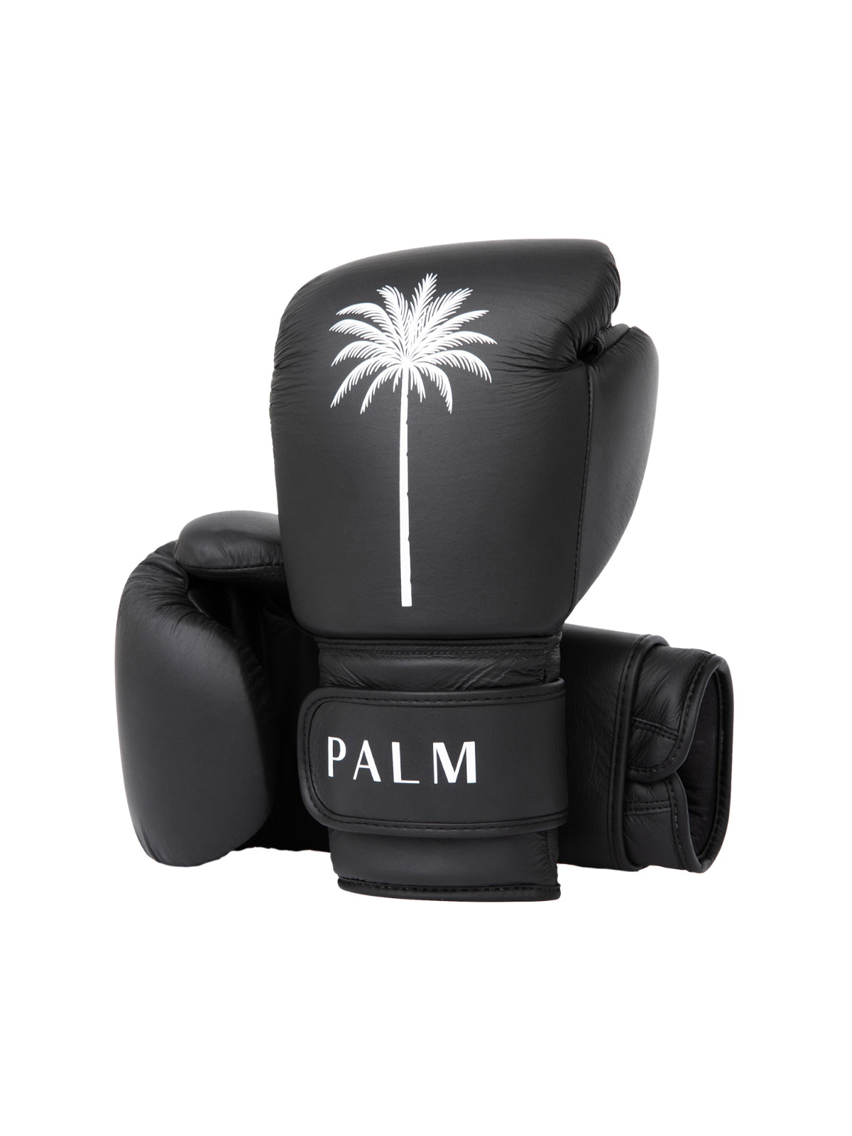 Palm Heights Athletics Signature Boxing Gloves