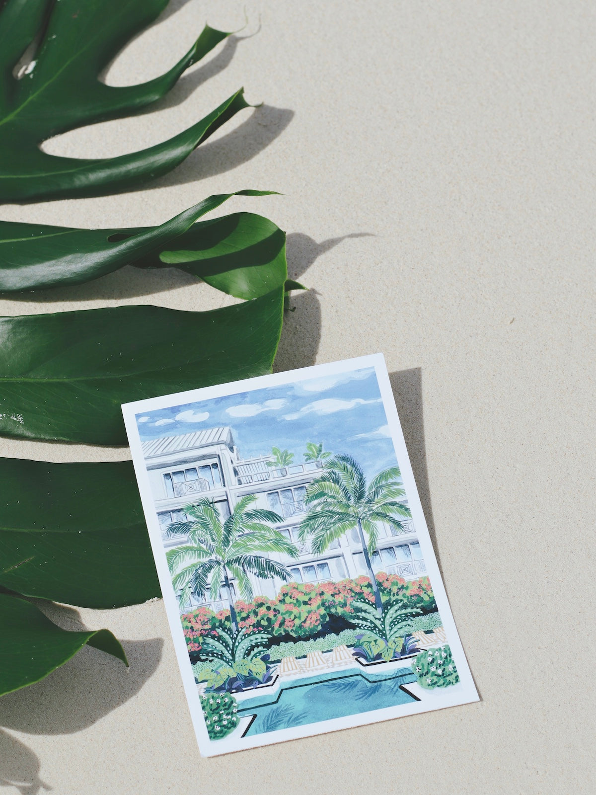 Palm Heights postcard